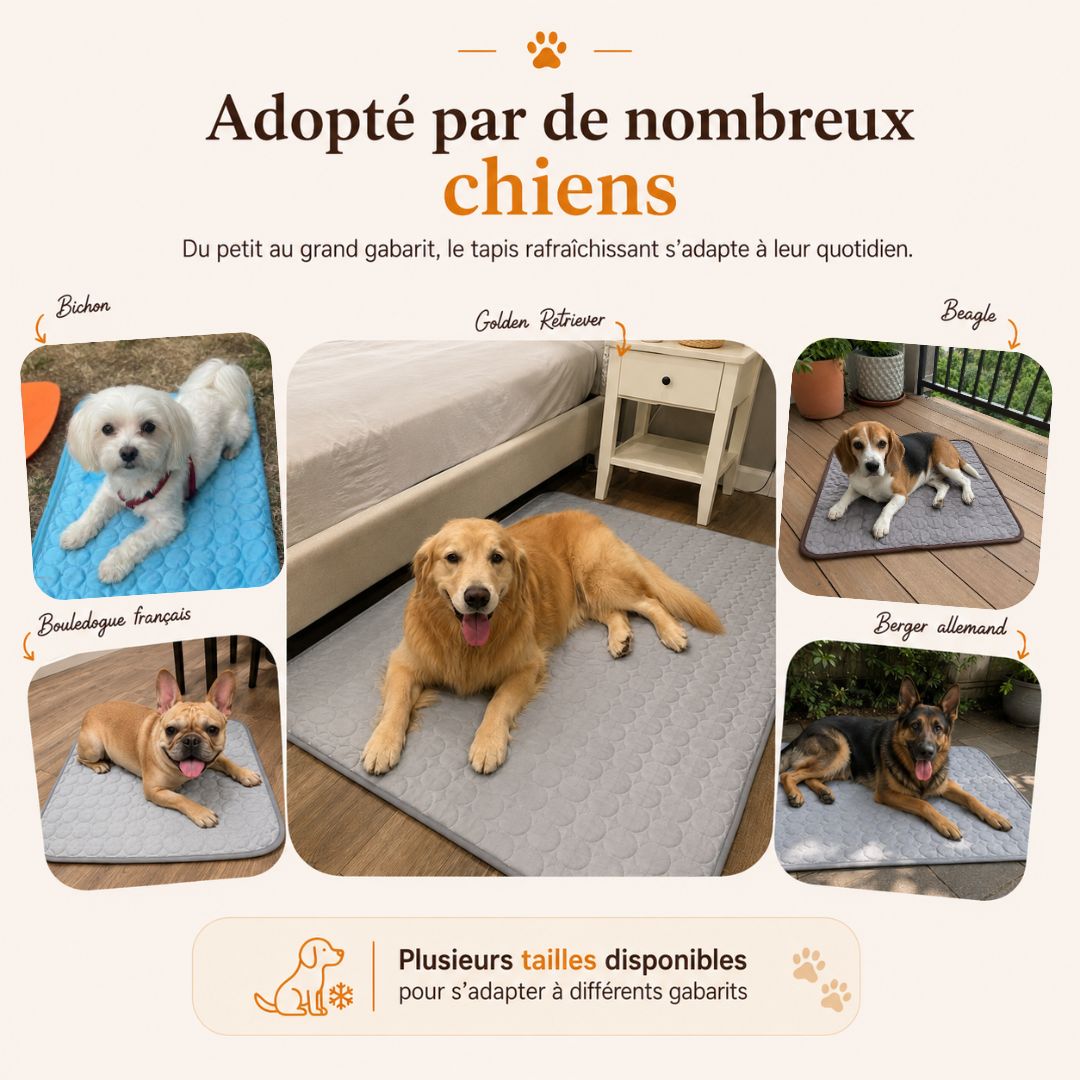 Tapis rafraîchissant pour chien | HUNDSY